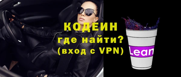 PSILOCYBIN Ельня