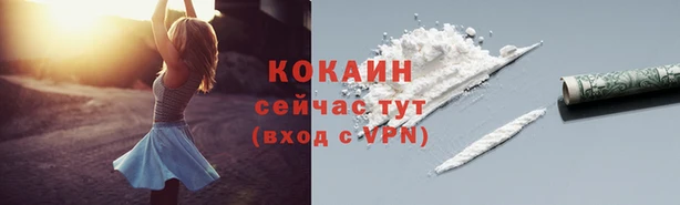 МДПВ Покров